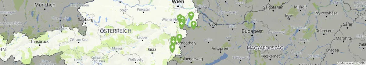 Kartenansicht für Apotheken-Notdienste in Burgenland (47)